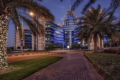 The Oasis